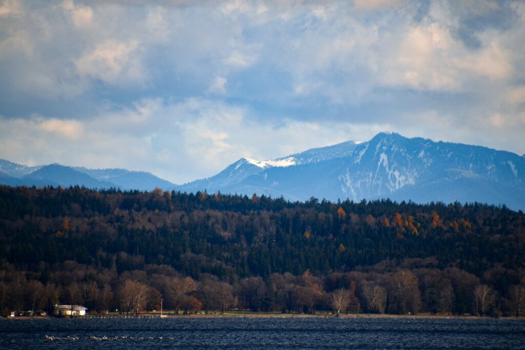 Blick auf die Berge vor einem dunklen Waldabschnitt unter einem bewölkten Himmel.