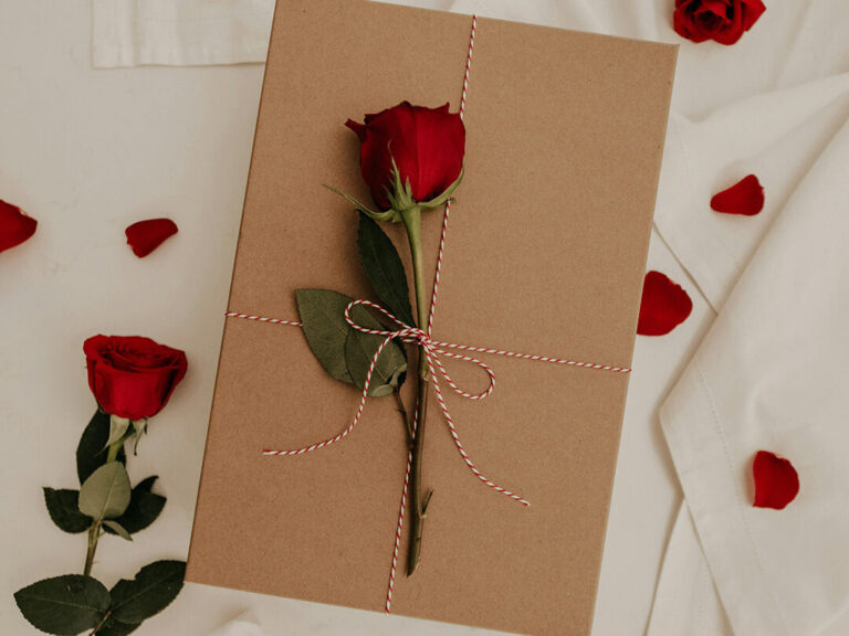 Rose auf dem Bett mit Rosenblätter drumherum